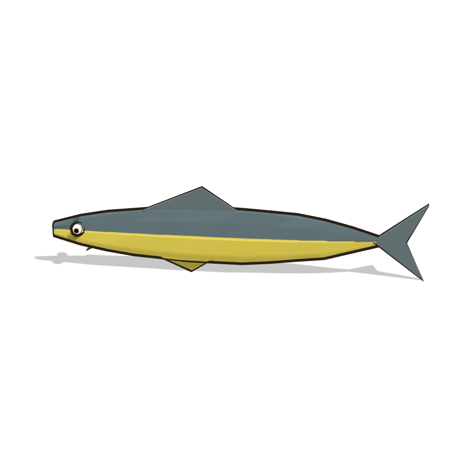 鰤 (Seriola japonesa)