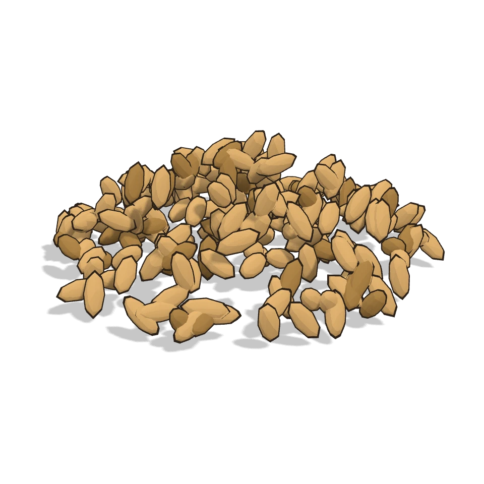 玄米 (Arroz integral)