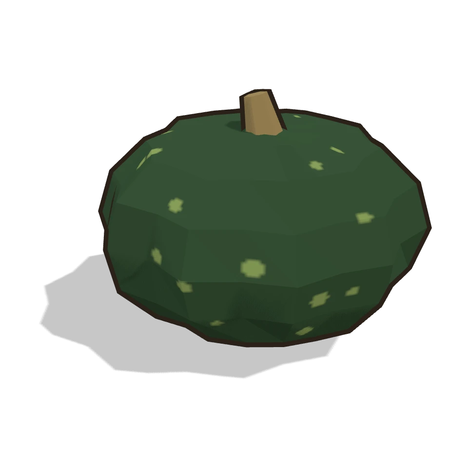 南瓜 (Kabocha squash)
