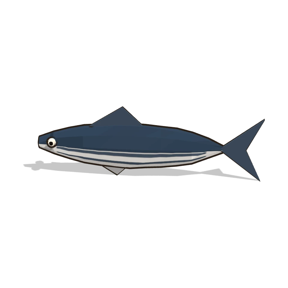 鰹 (Bonito listado)