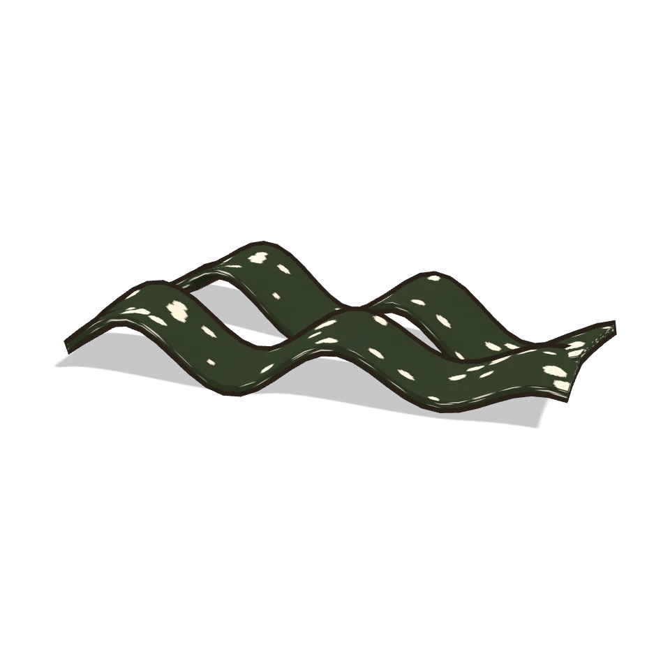 昆布 (Kombu kelp)