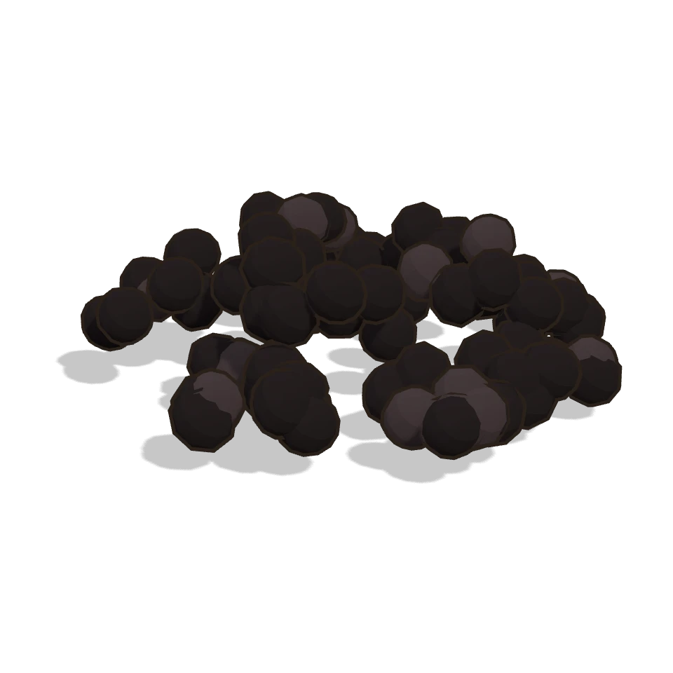 黒豆 (Black soybean)
