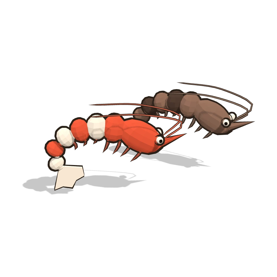 車海老 (Langostino kuruma)