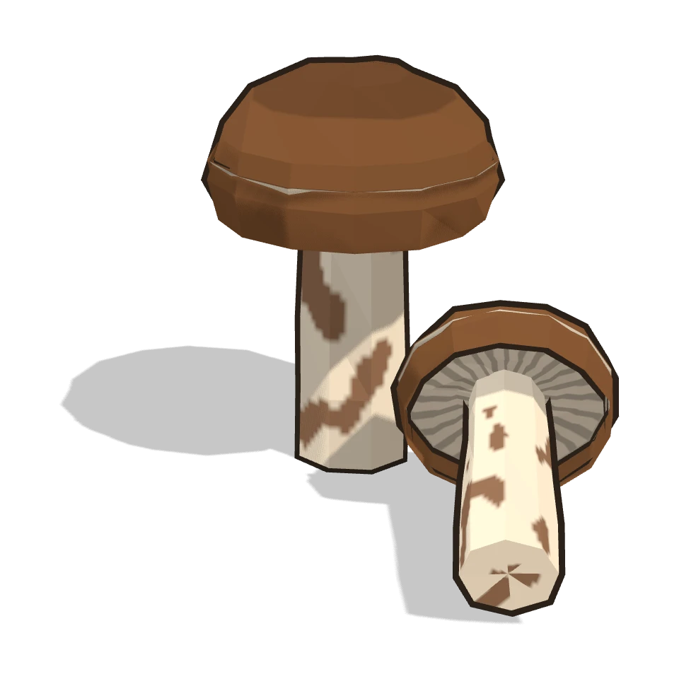 松茸 (Matsutake mushroom)