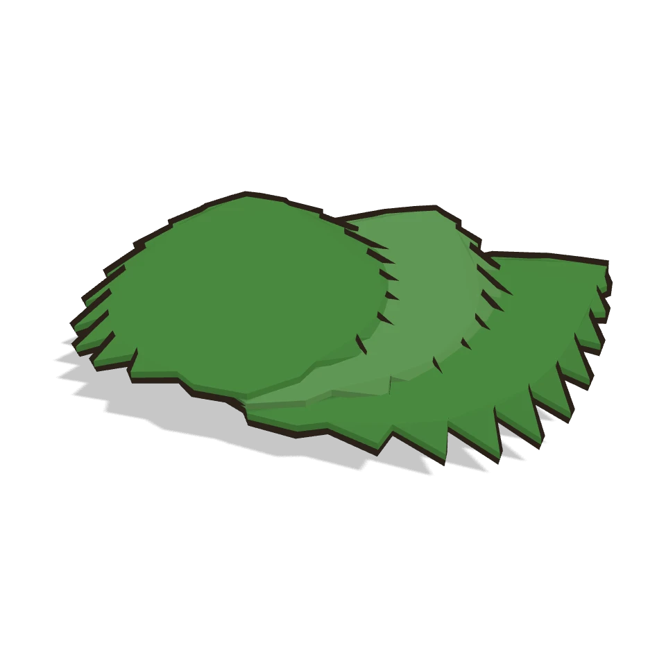 紫蘇 (Shiso (perilla))