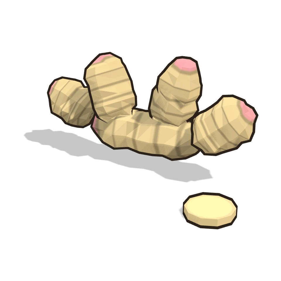 生姜 (Ginger)
