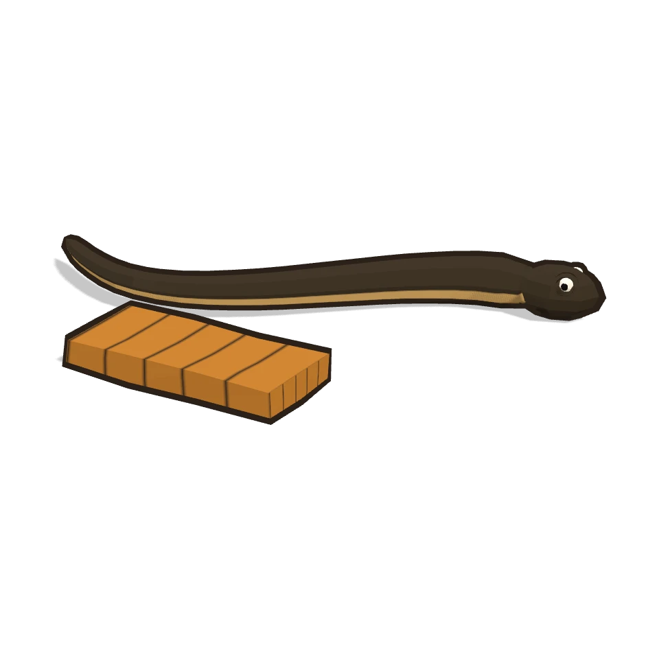 鰻 (Japanese eel)
